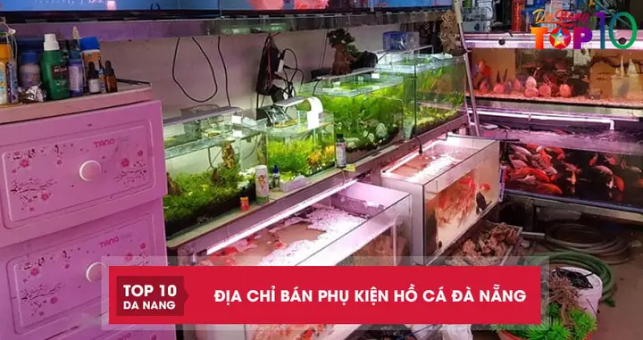 Địa Chỉ Bán Phụ Kiện Hồ Cá Địa Chỉ Bán Phụ Kiện Hồ Cá