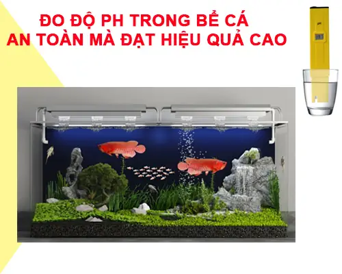 Đo Độ Ph Bể Cá
