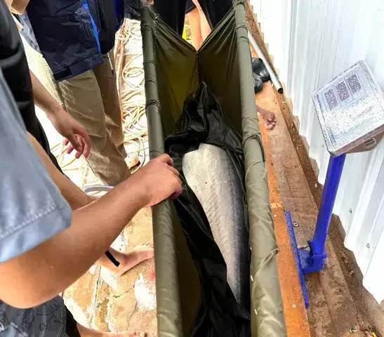Dự Án Nuôi Cá Nước Ngọt