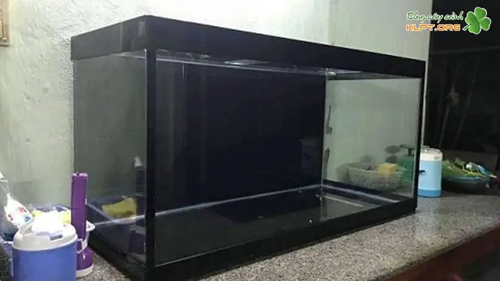 Giá Hồ Cá Cảnh Tphcm