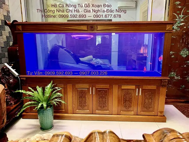 Giá Hồ Cá Rồng