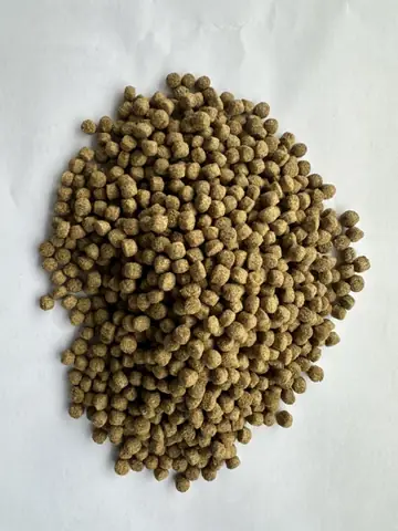 Giá Thức Ăn Cho Cá Da Trơn