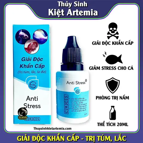 Giảm Stress Cho Cá