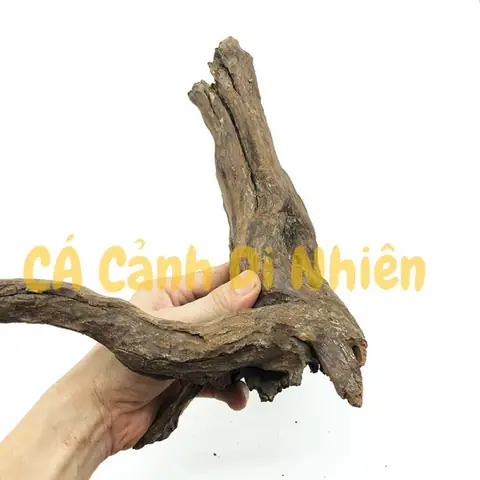Gỗ Trang Trí Hồ Cá