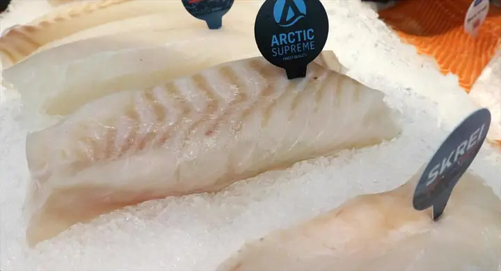 Haddock Là Cá Gì