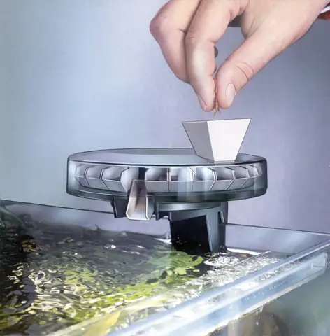 Hệ Thống Cho Cá Ăn Tự Động