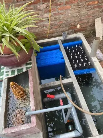Hệ Thống Lọc Hồ Cá Koi Mini