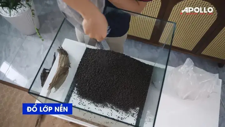 Hệ Thống Thay Nước Hồ Cá