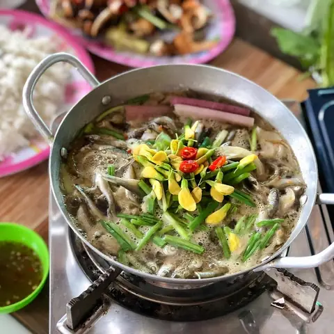 Hình Ảnh Cá Linh Bông Điên Điển