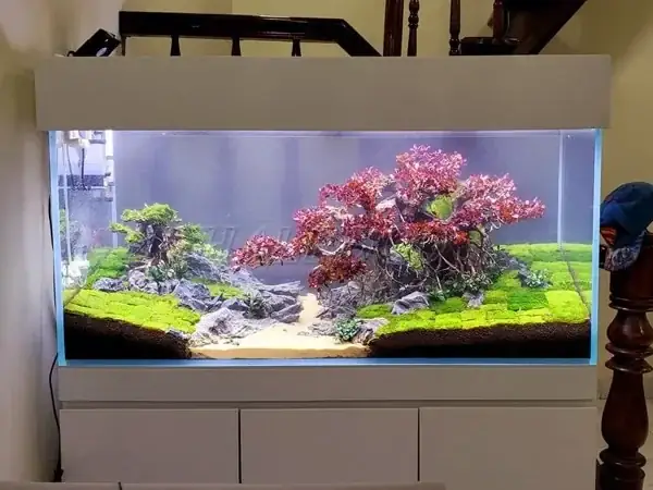 Hồ Cá 1m2 Đẹp