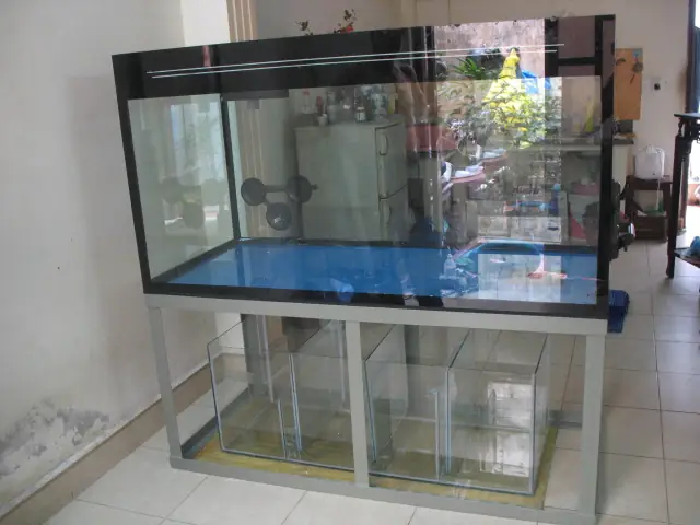 Hồ Cá 1m5 Giá Bao Nhiêu