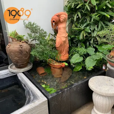 Hồ Cá Bằng Chậu Cây