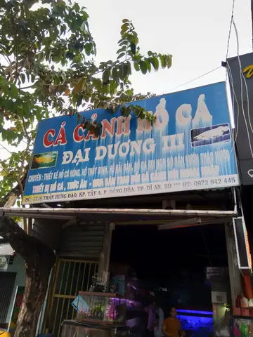 Hồ Cá Cảnh Đại Dương