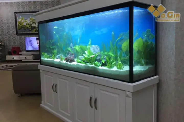 Hồ Cá Đà Nẵng