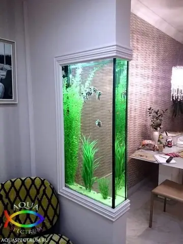 Hồ Cá Dán Tường