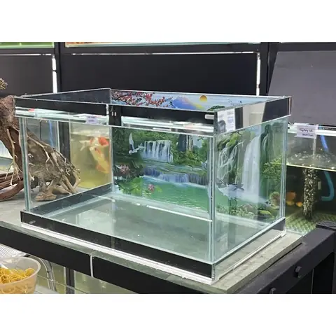 Hồ Cá Giá Rẻ Tphcm