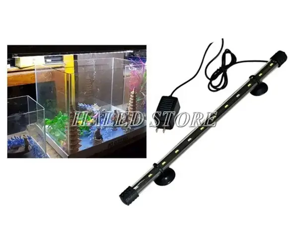 Hồ Cá Jebo 1m2