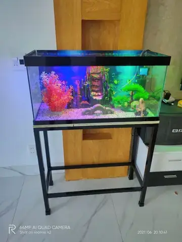 Hồ Cá Kính 5ly