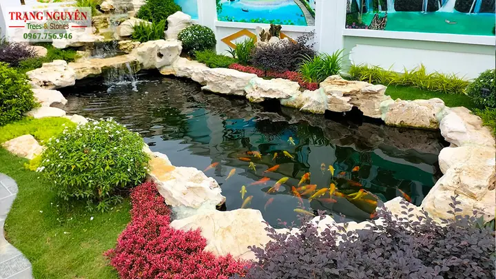 Hồ Cá Koi Củ Chi