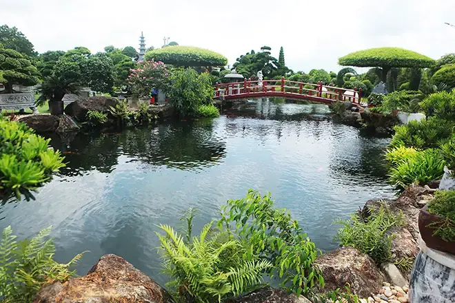 Hồ Cá Koi Dũng Tân