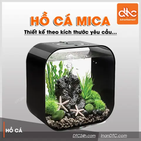 Hồ Cá Mica Mini