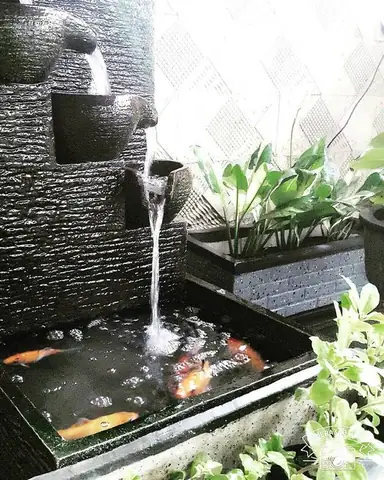 Hồ Cá Mini Hcm