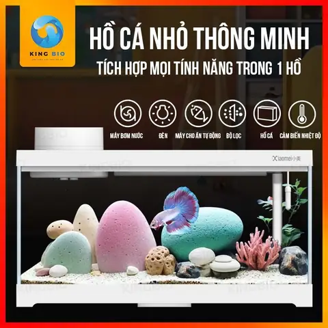 Hồ Cá Mini Thông Minh