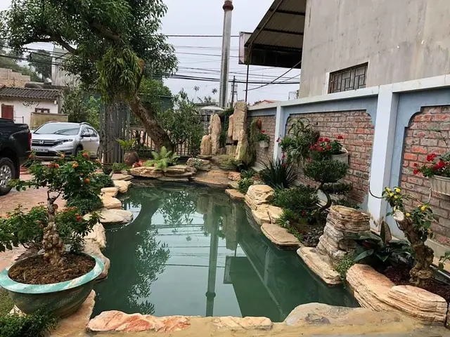 Hồ Cá Mới Ngâm Nước Bao Lâu