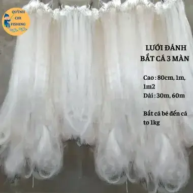 Hồ Cá Nhỏ Giá Rẻ