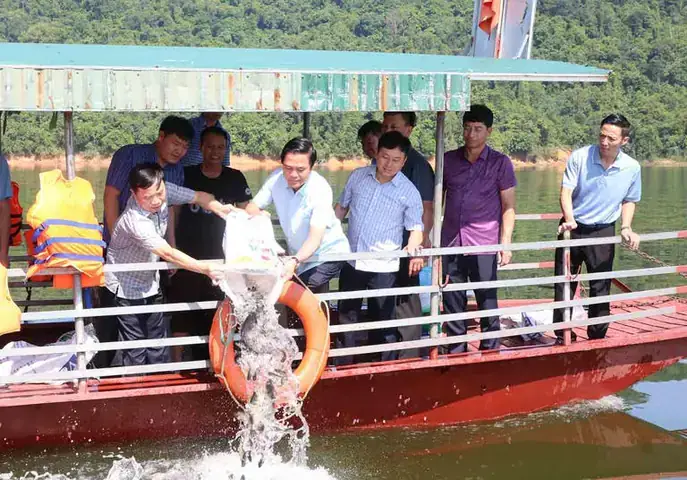 Hồ Cá Ở Núi Cấm