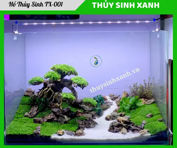 Hồ Cá Thủy Sinh Bon Sai