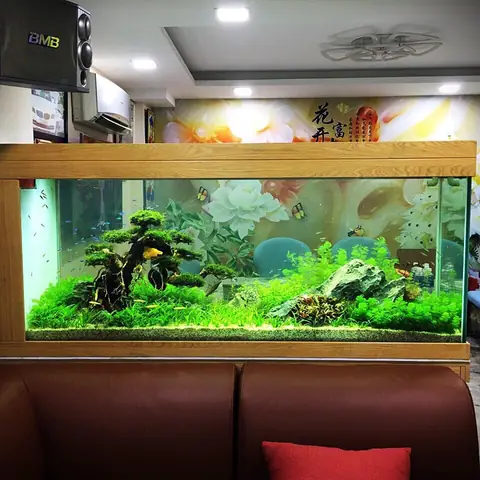 Hồ Cá Thủy Sinh Tại Đà Nẵng