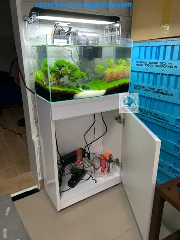 Hồ Cá Thủy Sinh Tphcm