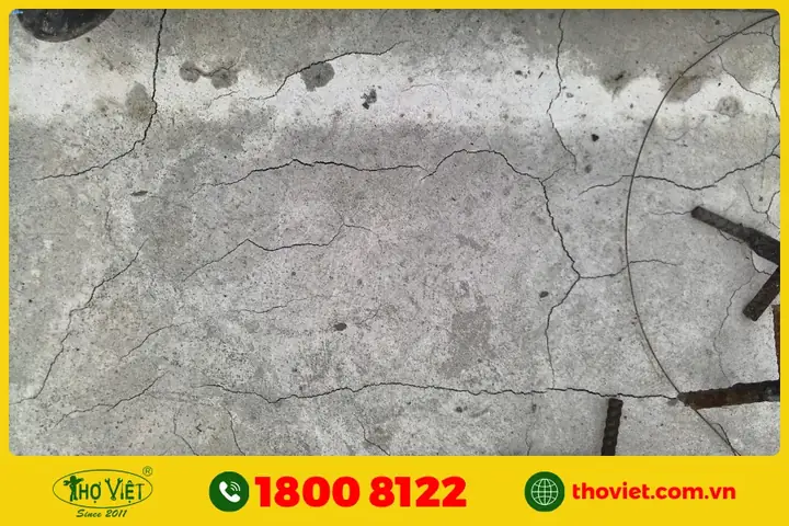 Hồ Cá Xi Măng Bị Rỉ Nước
