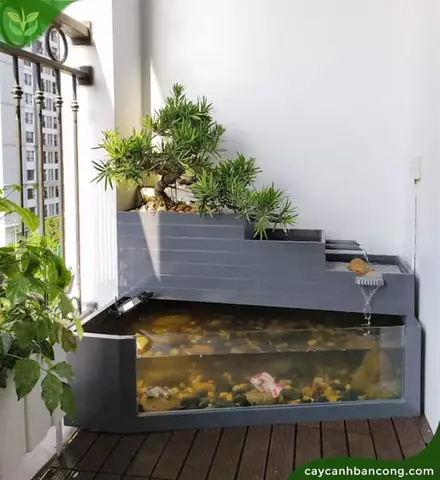 Hồ Nhựa Nuôi Cá Cảnh