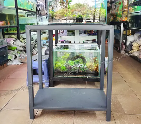 Kệ Chân Sắt Bể Cá