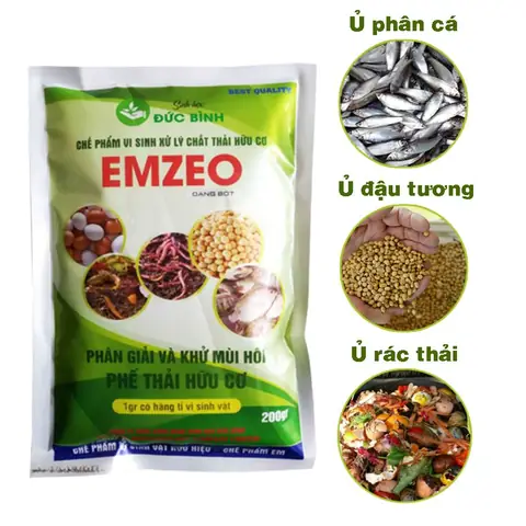 Khử Mùi Phân Cá