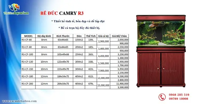 Kích Thước Bể Cá Đúc