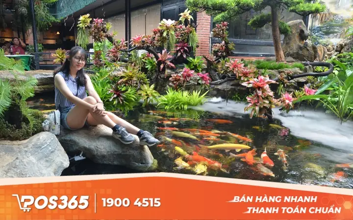 Kinh Nghiệm Mở Quán Cafe Cá Koi
