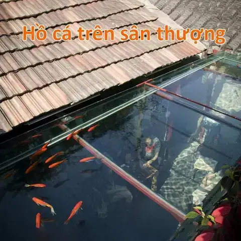Kỹ Thuật Nuôi Cá Trên Sân Thượng