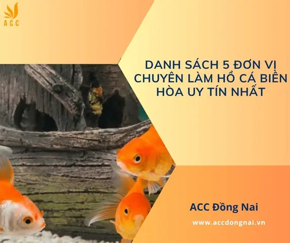 Làm Hồ Cá Biên Hòa