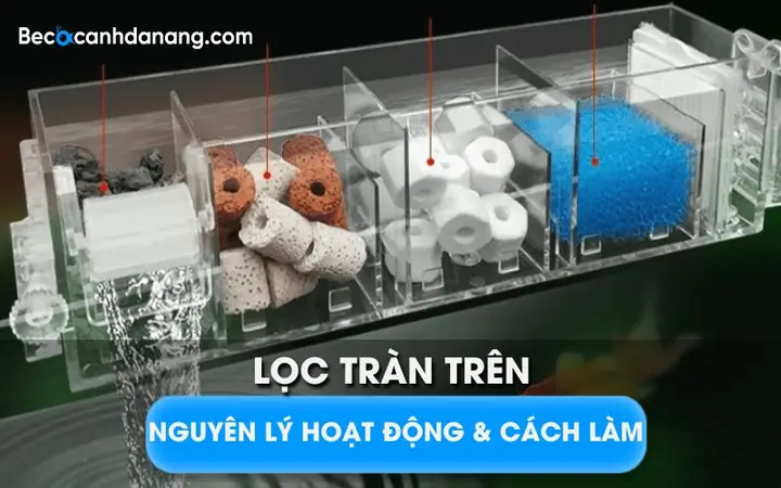 Làm Lọc Bể Cá