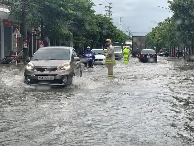 Liễn Nuôi Cá Cảnh