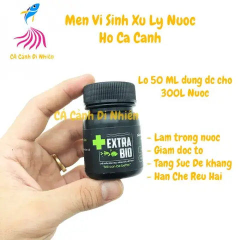 Lọ Vi Sinh Hồ Cá