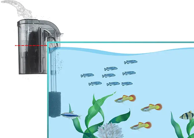 Lọc Bể Cá Bị Air