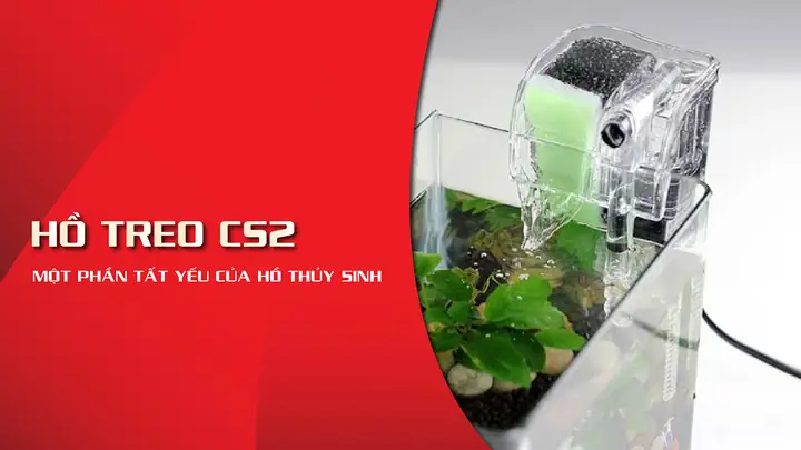 Lọc Bể Cá Cs2