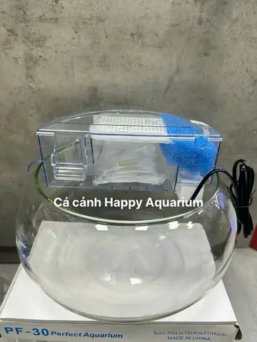Lọc Bể Cá Tròn