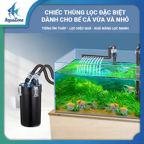 Lọc Thùng Cho Bể Cá Vàng