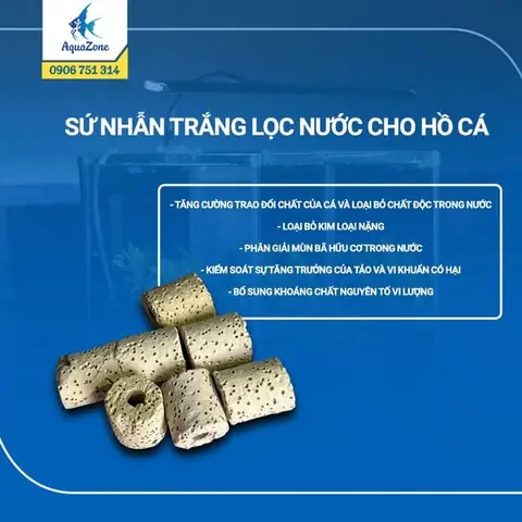 Lọc Vi Sinh Hồ Cá