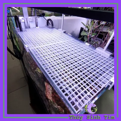 Lưới Che Bể Cá Lưới Che Bể Cá